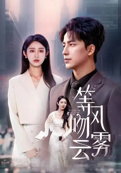 《承欢记》海报